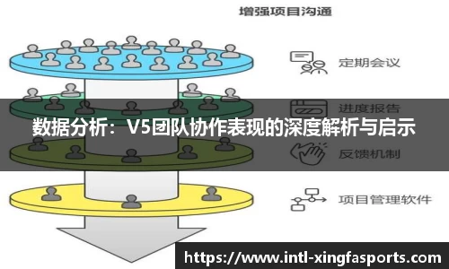 数据分析:V5团队协作表现的深度解析与启示
